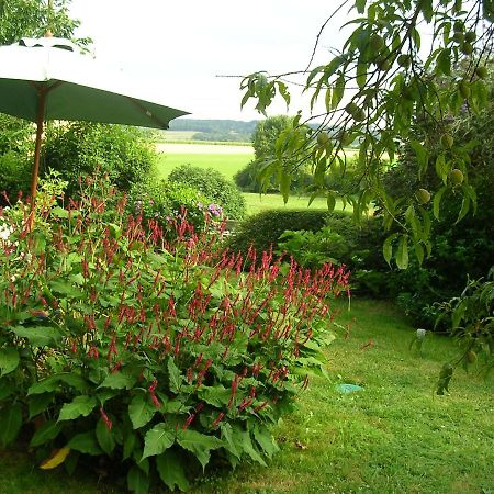 Bed and Breakfast La Maison Des Aubees Rémalard Exterior foto